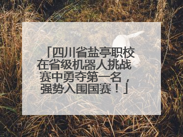 四川省盐亭职校在省级机器人挑战赛中勇夺第一名，强势入围国赛！