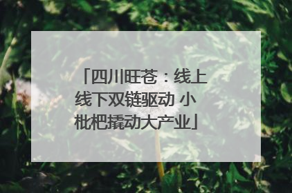 四川旺苍：线上线下双链驱动 小枇杷撬动大产业