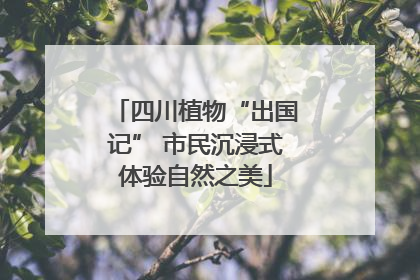 四川植物“出国记” 市民沉浸式体验自然之美