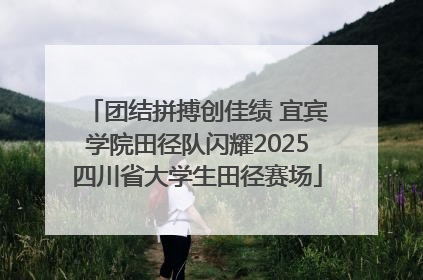 团结拼搏创佳绩 宜宾学院田径队闪耀2025四川省大学生田径赛场