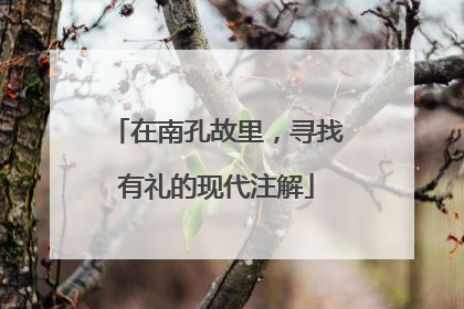 在南孔故里，寻找有礼的现代注解