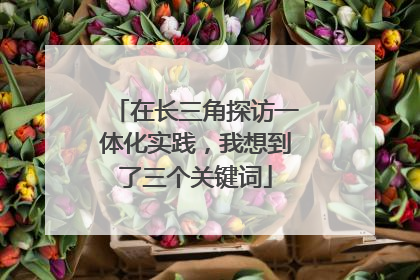 在长三角探访一体化实践，我想到了三个关键词