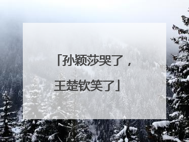 孙颖莎哭了，王楚钦笑了