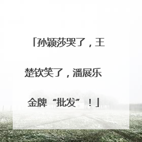 孙颖莎哭了，王楚钦笑了，潘展乐金牌“批发”！