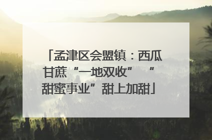 孟津区会盟镇：西瓜甘蔗“一地双收” “甜蜜事业”甜上加甜