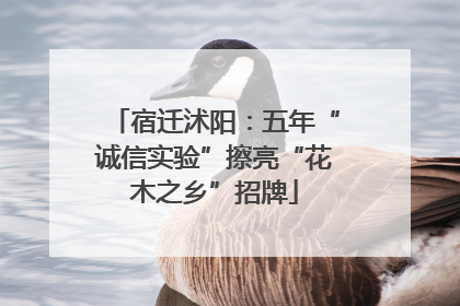 宿迁沭阳：五年“诚信实验”擦亮“花木之乡”招牌