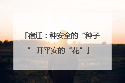宿迁：种安全的“种子” 开平安的“花”
