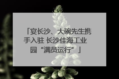宴长沙、大碗先生携手入驻 长沙佳海工业园“满员运行”