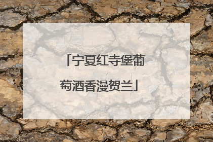 宁夏红寺堡葡萄酒香漫贺兰