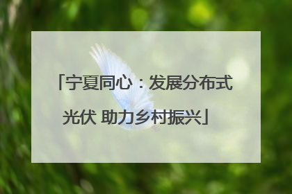 宁夏同心：发展分布式光伏 助力乡村振兴