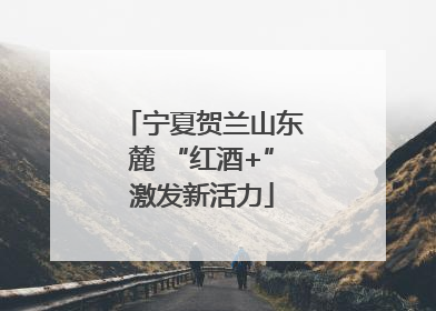 宁夏贺兰山东麓 “红酒+”激发新活力