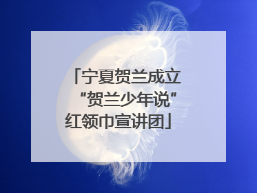 宁夏贺兰成立“贺兰少年说”红领巾宣讲团