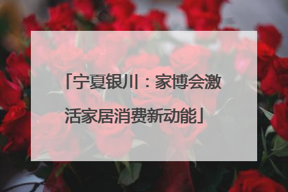 宁夏银川：家博会激活家居消费新动能