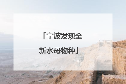 宁波发现全新水母物种