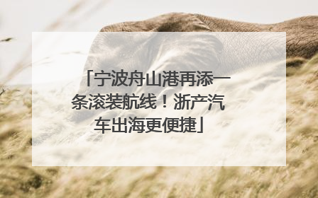 宁波舟山港再添一条滚装航线！浙产汽车出海更便捷