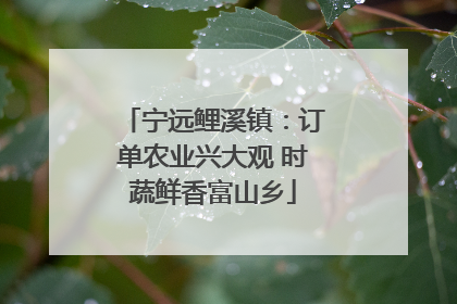 宁远鲤溪镇：订单农业兴大观 时蔬鲜香富山乡