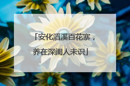 安化滔溪百花寨，养在深闺人未识