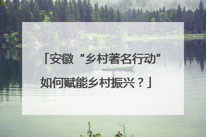 安徽“乡村著名行动”如何赋能乡村振兴？