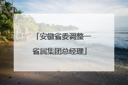 安徽省委调整一省属集团总经理
