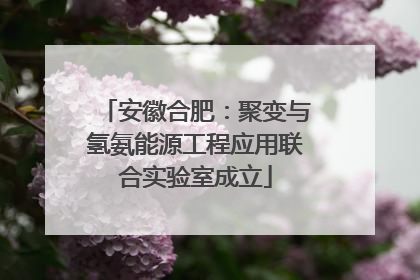 安徽合肥：聚变与氢氨能源工程应用联合实验室成立