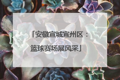 安徽宣城宣州区：篮球赛场展风采