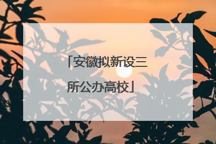 安徽拟新设三所公办高校