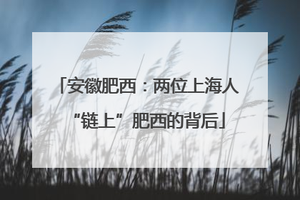安徽肥西：两位上海人“链上”肥西的背后
