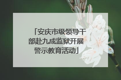 安庆市级领导干部赴九成监狱开展警示教育活动