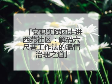 安职实践团走进西苑社区：解码六尺巷工作法的温情治理之道