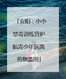 安阳：小小禁毒训练营护航青少年远离药物滥用