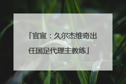 官宣：久尔杰维奇出任国足代理主教练