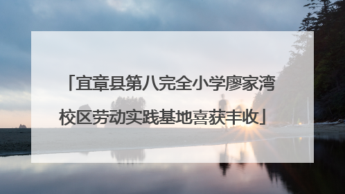 宜章县第八完全小学廖家湾校区劳动实践基地喜获丰收