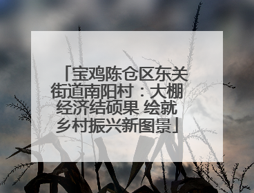 宝鸡陈仓区东关街道南阳村：大棚经济结硕果 绘就乡村振兴新图景