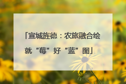 宣城旌德：农旅融合绘就“莓”好“蓝”图