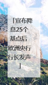 宣布降息25个基点后 欧洲央行行长发声