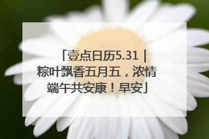壹点日历5.31｜粽叶飘香五月五，浓情端午共安康！早安