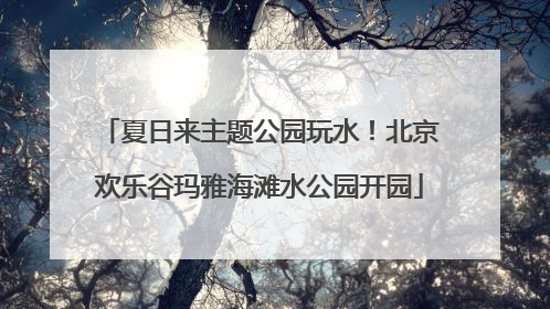 夏日来主题公园玩水！北京欢乐谷玛雅海滩水公园开园