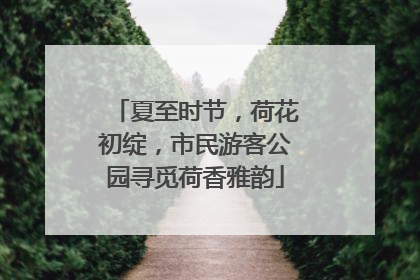 夏至时节，荷花初绽，市民游客公园寻觅荷香雅韵