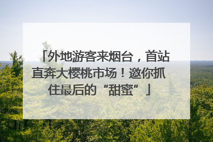 外地游客来烟台，首站直奔大樱桃市场！邀你抓住最后的“甜蜜”