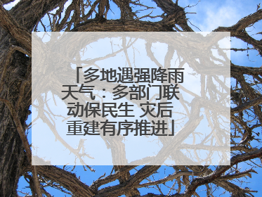 多地遇强降雨天气：多部门联动保民生 灾后重建有序推进