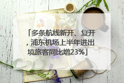 多条航线新开、复开，浦东机场上半年进出境旅客同比增23%
