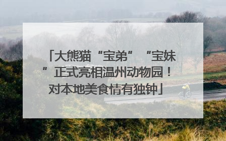 大熊猫“宝弟”“宝妹”正式亮相温州动物园！对本地美食情有独钟