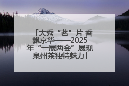 大秀“茗”片 香飘京华——2025年“一展两会”展现泉州茶独特魅力