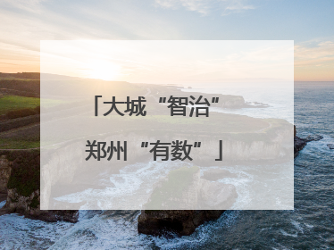 大城“智治” 郑州“有数”