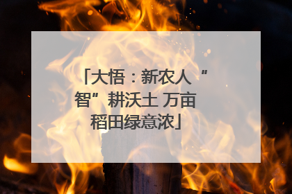 大悟：新农人“智”耕沃土 万亩稻田绿意浓