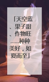 天空蓝、果子甜、作物旺……种种美好，如夏而至