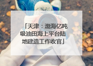 天津：渤海亿吨级油田海上平台陆地建造工作收官