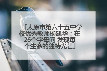 太原市第六十五中学校优秀教师杨建华：在26个字母间 发现每个生命的独特光芒