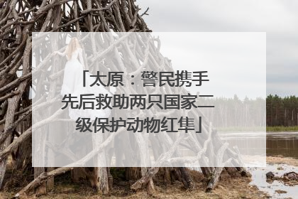 太原：警民携手 先后救助两只国家二级保护动物红隼