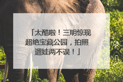 太酷啦！三明惊现超绝宝藏公园，拍照遛娃两不误！